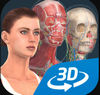 人体系统女性3D