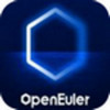 华为openEuler操作系统 v1.0