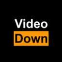 Video Down视频下载器