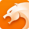 猎豹浏览器国际版 v5.22.20.0013