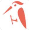 啄木鸟管理 v6.0.4